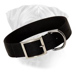 Bullmastiff Wide Nylon Dog Collar 1.5 inch wide  Bullmastiff Wide Nylon Dog Collar 1.5 inch wide