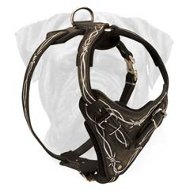 Bullmastiff Leather Dog Harness Wide Chest Plate Barbed Wire Painted
