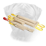 Training Set of Bullmastiff Bite Tugs Training Set of Bullmastiff Bite Tugs