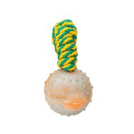 Useful Training Colorful Ball on a Strong String for Bullmastiff Breed 2 inches - TT4  Useful Training Colorful Ball on a Strong String for Bullmastiff Breed 2 inches - TT4
