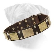 Bullmastiff Custom Leather Dog Collar- brass plates,pyramid