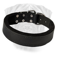 Reliable Leather Collar for Various Types of Training for Bullmastiff