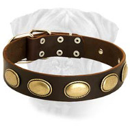 High Quality Leather Dog Collar for Bullmastiff