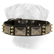 Custom Spiked Leather Dog Collar - perfect handmade dog collar