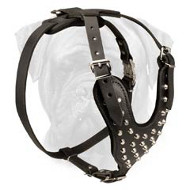Designer Pyramid Studded Leather Dog Harness for Bullmastiff Breed