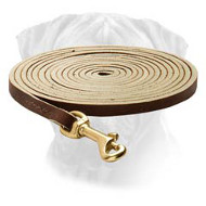 Fascinating Leather Bullmastiff Leash for Tracking