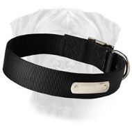 Great 2 Ply Nylon Dog Collar w/h name tag/Metal Buckle