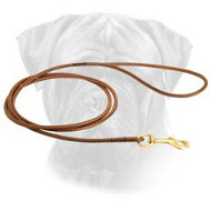 Fascinating Round Handcrafted Leather Leash for Bullmastiffs