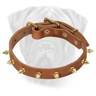 Brilliant Leather Collar with Hand Set Shiny Spikes for Bullmastiffs