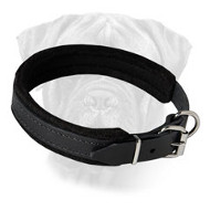 Leather Thick Soft Padded Dog Collar for Everyday Walking for Bullmastiff