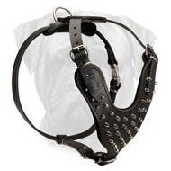 Nickel Spiked Leather Dog Harnesses for Bullmastiff-Custom Dog Harness