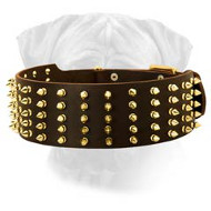 Luxury Leather Dog Collar with Brass Fittings for Bullmastiffs