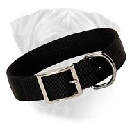 Nylon Dog Collar- 2 Ply Nylon Nickel Plated Extra Wide