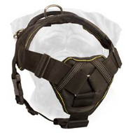 Tracking Nylon Dog Harness for Bullmastiff Breed with a Soft Padded Chest Plate  Tracking Nylon Dog Harness for Bullmastiff Breed with a Soft Padded Chest Plate