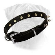 Bullmastiff Newly Designed Handcrafted Spiked Leather Collar