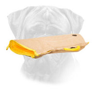 Bullmastiff Bite Sleeve for Training Puppy Bullmastiff Bite Sleeve for Training Puppy