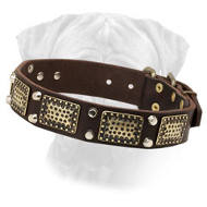 Leather Bullmastiff Collar with Old Nickel Plates and Pyramids