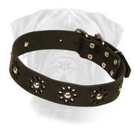 Bullmastiff Leather Collar with Flower Decor and Studs Bullmastiff Leather Collar with Flower Decor and Studs