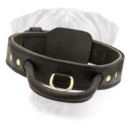 Leather Agitation Collar for Easy Control for Bullmastiff Leather Agitation Collar for Easy Control for Bullmastiff