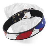 American Flag Dog Collar for Bullmastiff -Leather usa collar