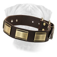 Leather Decorated Collar New Style