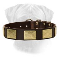 Handcrafted Leather Dog Collar With Vintage Massive Brass Plated Plates