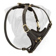Tracking Leather Dog Harness for Bullmastiffs