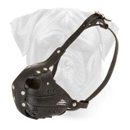 Best Leather Bullmastiff Muzzle for Professional Training  Best Leather Bullmastiff Muzzle for Professional Training