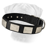 Nylon Dog Collar For Large and Medium Breeds With Vintage Plates
