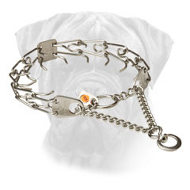 Bullmastiff Pinch Collar Made of Stainless Steel Bullmastiff Pinch Collar Made of Stainless Steel