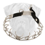 Bullmastiff Pinch Collar Stainless Steel with Click Lock Buckle and Nylon Loop Bullmastiff Pinch Collar Stainless Steel with Click Lock Buckle and Nylon Loop