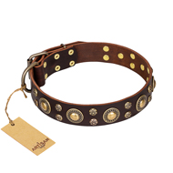 'Flower Melody' Bullmastiff FDT Artisan Brown Leather Dog Collar with Mixed Studs