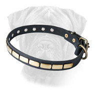 Leather Special Dog Collar With Plates for Bullmastiff Breed Leather Special Dog Collar With Plates for Bullmastiff Breed