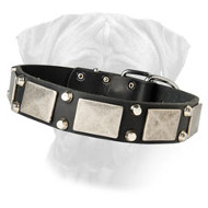 Decorated Leather Dog Collar for Bullmastiff Decorated Leather Dog Collar for Bullmastiff