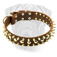 Leather Dog Collar with Nickel Studs and Brass Spikes for Bullmastiff Leather Dog Collar with Nickel Studs and Brass Spikes for Bullmastiff