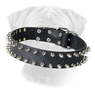 Top-grade Leather Bullmastiff Dog Collar with Spikes Top-grade Leather Bullmastiff Dog Collar with Spikes