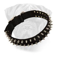 Bullmastiff Collar Spiked Black Nylon Bullmastiff Collar Spiked Black Nylon