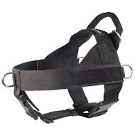 Nylon Harness for Canicross-Bullmastiff Harness