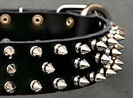 Canine Deluxe Spiked Leather Dog Collar for Bullmastiff
