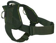 Comfort Wrap Adjustable Dog Harness for Bullmastiff