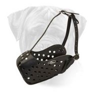 Leather Bullmastiff Muzzle for Walking/Training
