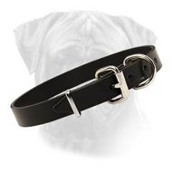 Bullmastiff Standard Leather Collar With Easy Fixed Buckle