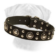 Unbelievable Leather Bullmastiff Collar "Silver Knights"