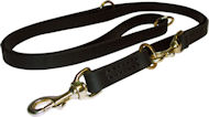 Dog Leash Training for Bullmastiff-Training Lead