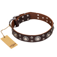 'Age of Beauty' FDT Artisan Incredible Studded Brown Leather Bullmastiff Collar