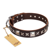 "Perfect Impression" FDT Artisan Brown Leather Bullmastiff Collar with Square Studs - 1 1/2 inch (40 mm) Wide