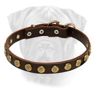 Bullmastiff Gorgeous Wide Leather Dog Collar With Dotted Circles Bullmastiff Gorgeous Wide Leather Dog Collar With Dotted Circles