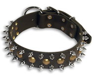 Leather Spiked Studded Dog Collar for Bullmastiff