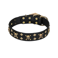 'Jolly Rojer' FDT Artisan Bullmastiff Leather Dog Collar with Pirate Skulls and Studs