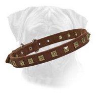 Unique Bullmastiff Leather Collar With Square Studs